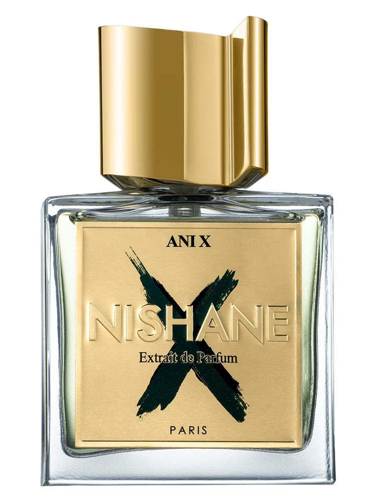 ANI X